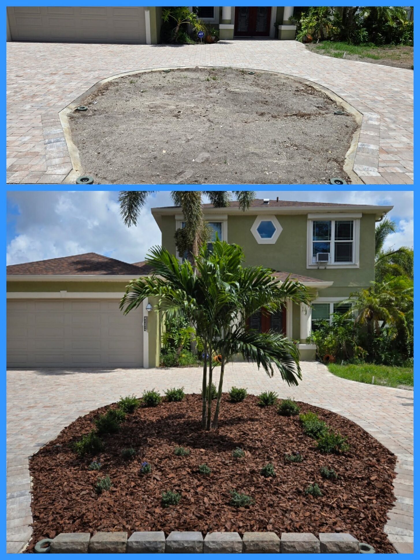 Before and after: a bare dirt driveway circle becomes a mulched palm-and-shrub island