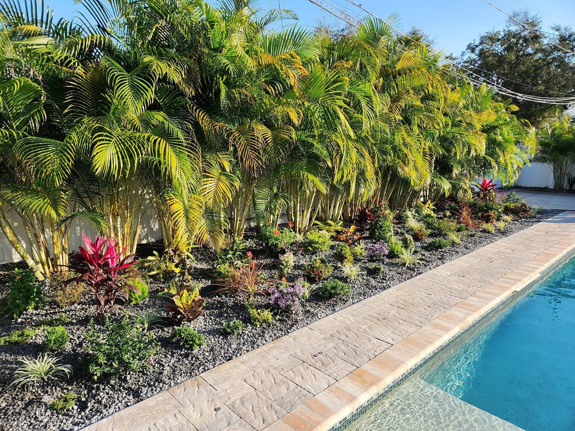 Finished poolside garden bed with crotons, cordyline and river rock in St. Petersburg