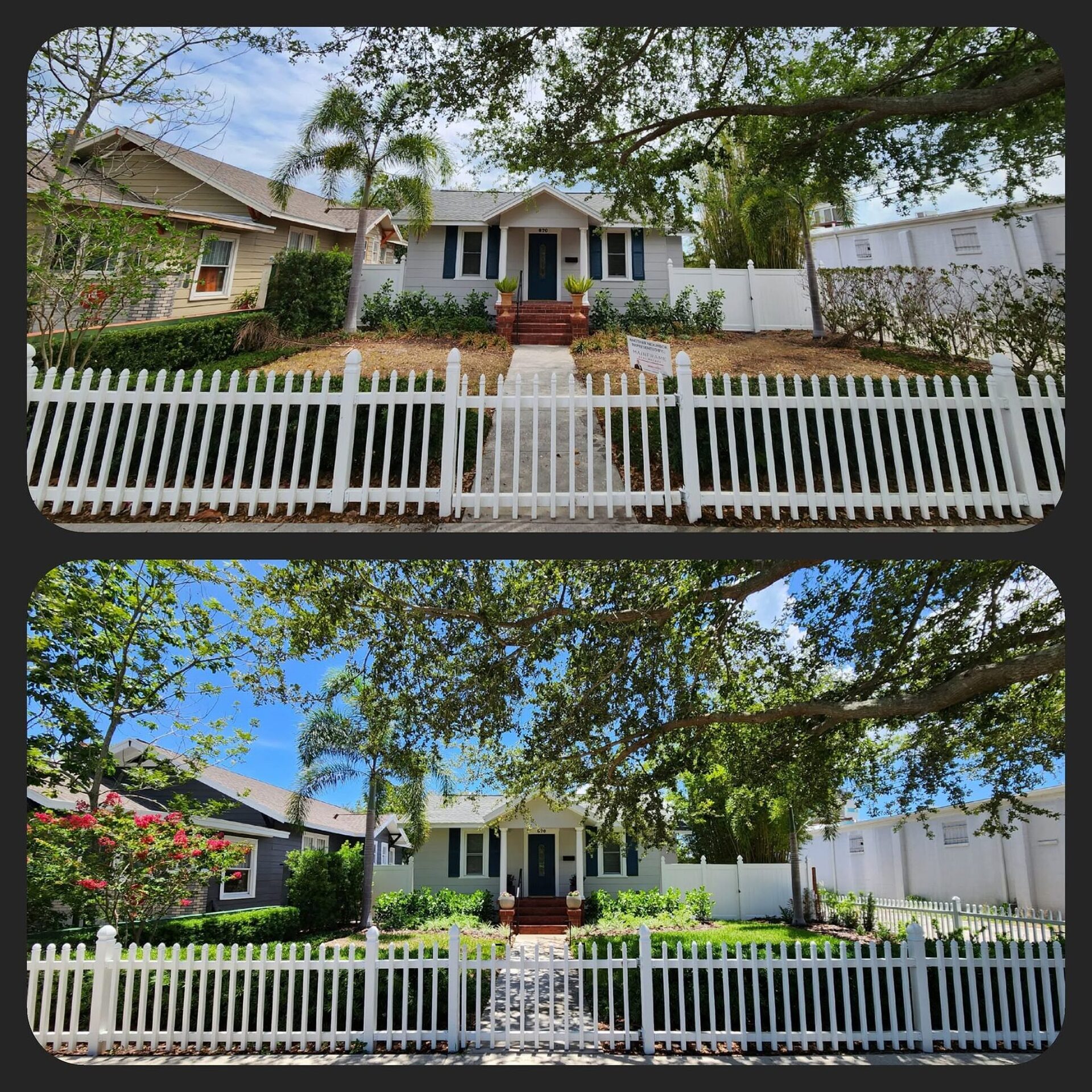 Before and after of a St. Petersburg bungalow front yard: a bare planting bed transformed into a lush, mulched garden along a white picket fence