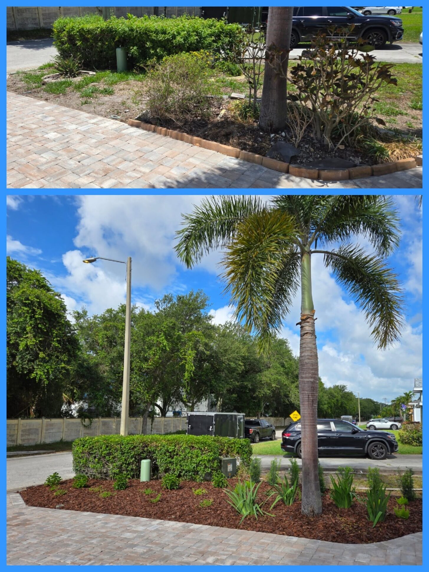 Before and after: a corner paver bed goes from patchy turf to a layered mulched planting along the driveway